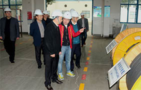 2015年11月22日，郎溪縣黨政代表團(tuán)一行來上上電纜參觀考察