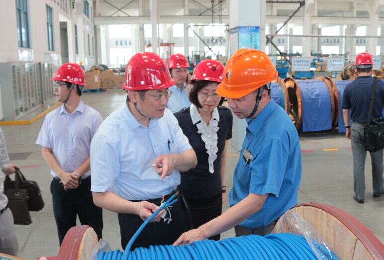 2016年7月22日，瀘州市委常委、副市長(zhǎng)王建翔一行來上上電纜參觀考察