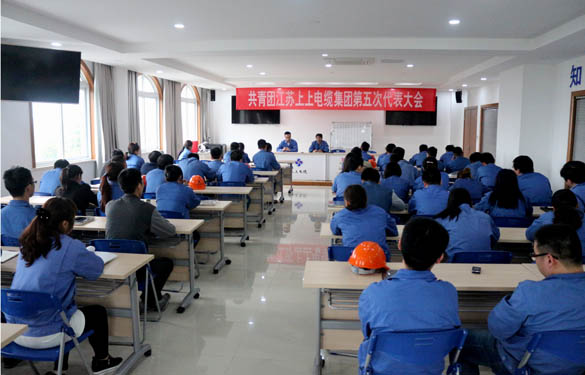 2016年4月20日，共青團(tuán)江蘇上上電纜集團(tuán)第五次代表大會(huì)召開