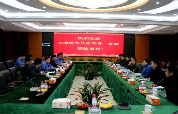 上海電力公司、上纜所領(lǐng)導(dǎo)、專家一行來上上電纜交流考察
