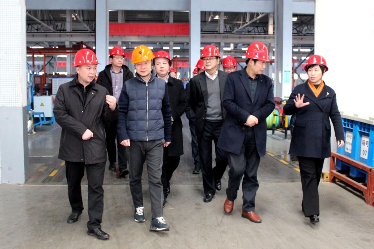 2019年3月7日，廣安市岳池縣考察團(tuán)來上上電纜參觀考察